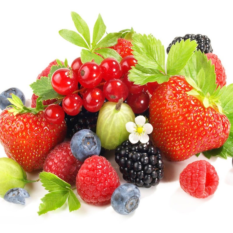 Вкус архитектор: расшифровка секретов и приложений четырех основных пищевых вкусов